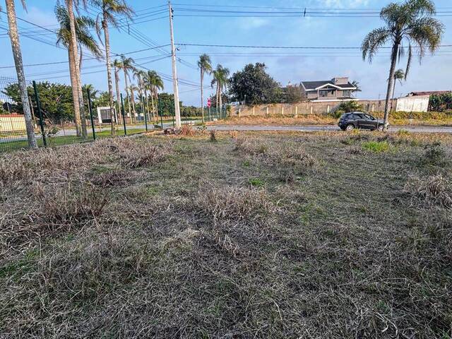 Área para Venda em Balneário Piçarras - 5