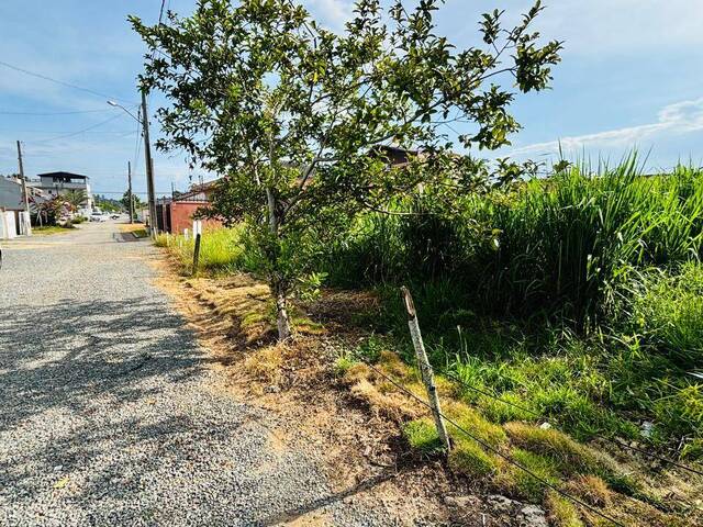 Terreno para Venda em Barra Velha - 5